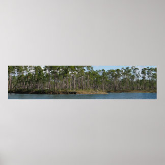 Long Pine Key Poster
