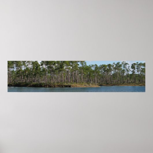 Long Pine Key Poster (Vorne)