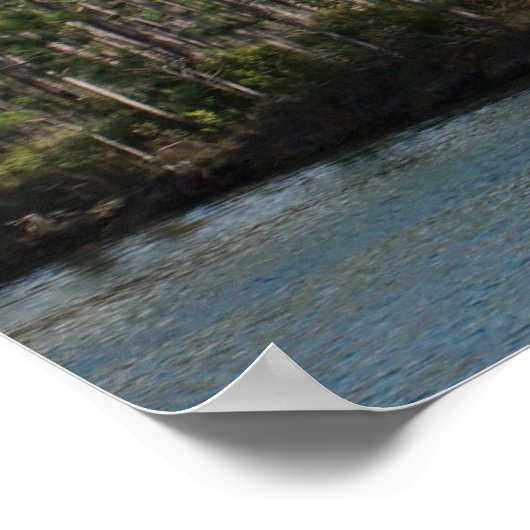 Long Pine Key Poster (Ecke)