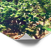 Long Reef Nordstrände Sydney Poster (Ecke)