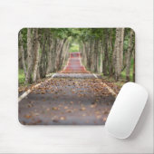 Long Road Mouse Pad HAMbWG Mousepad (Mit Mouse)