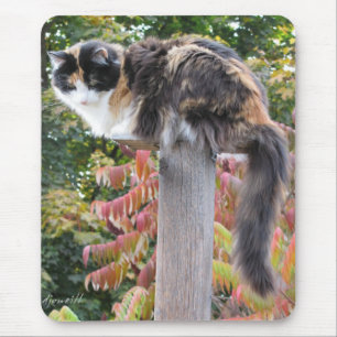 Long Schwanz Calico Von Schaukelstühlen fernhalten Mousepad
