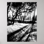 Long Shadows Black and White Poster (Vorne)