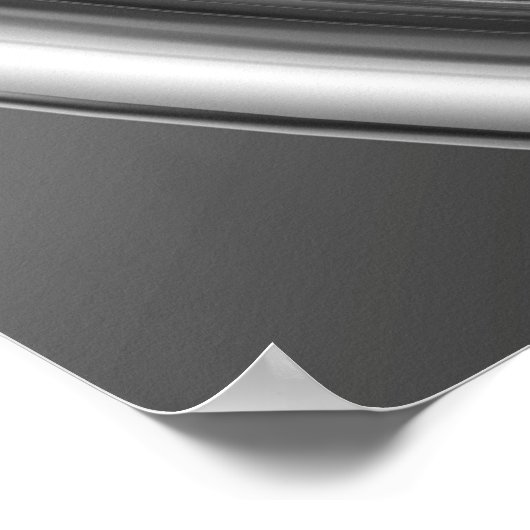 Long Spring B&W Poster (Ecke)