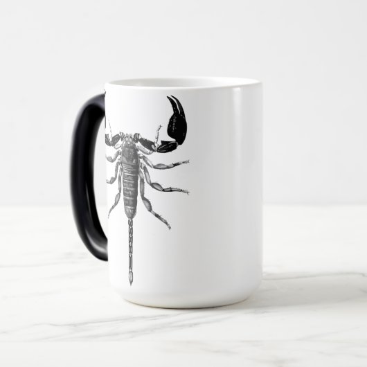 LONG STINGER VERWANDLUNGSTASSE (Vorderseite Links)