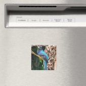 Long Tail Blue Bird Magnet (In Situ (Geschirrspüler))