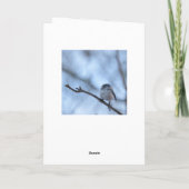 Long Tailed Tit with feather Karte (Rückseite)