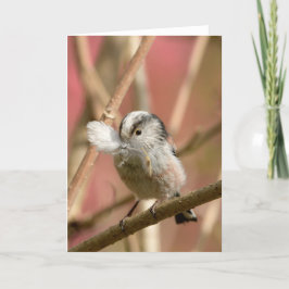 Long Tailed Tit with feather Karte