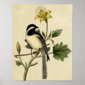 Long Tails Chickadee Poster (Vorne)