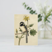 Long Tails Chickadee Postkarte (Stehend Vorderseite)