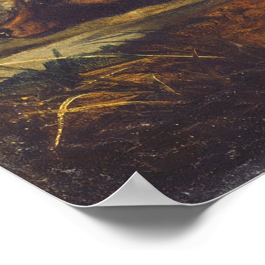 Long-Tails Red Fox - JW Audubon Fine Art Poster (Ecke)