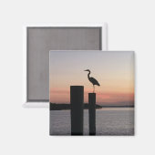 Longboat Key Pelican Magnet (Vorderseite/Rückseite)