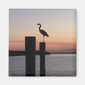Longboat Key Pelican Magnet (Vorne)