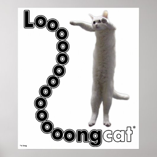 Longcat ist lang poster (Vorne)