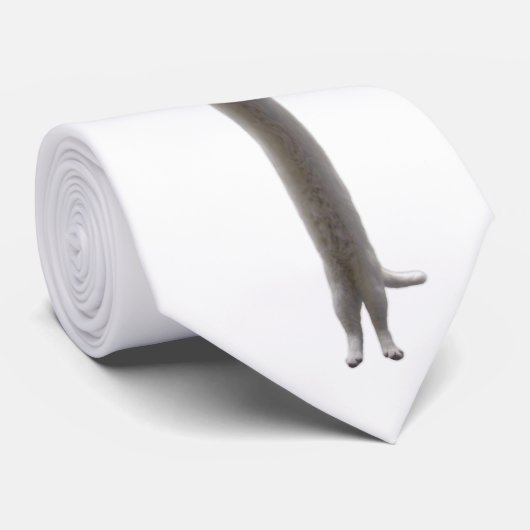 Longcat Krawatte (Gerollt)