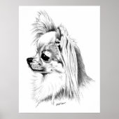 Longcoat Chihuahua Champion Poster (Vorne)