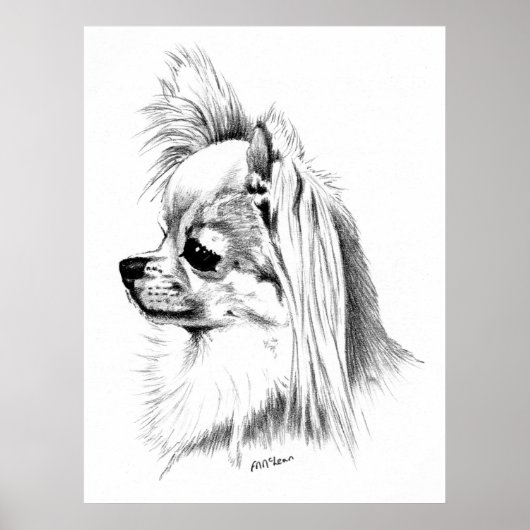 Longcoat Chihuahua Champion Poster (Vorne)