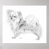 Longcoat Chihuahua Champion Poster (Vorne)