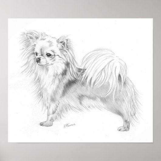 Longcoat Chihuahua Champion Poster (Vorne)