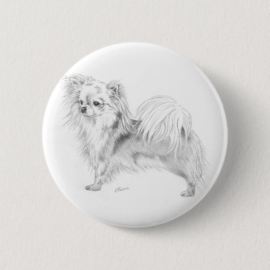 Longcoat Chihuahua - stehend Button (Vorderseite)