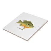 Longear Sunfish Fliese (Seite)