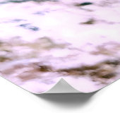 Longfin Damselfish Poster (Ecke)