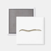 Longfin Snake-ael Magnet (Vorderseite/Rückseite)