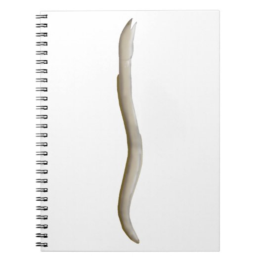 Longfin Snake-ael Notizblock (Vorderseite)