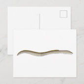 Longfin Snake-ael Postkarte (Vorne/Hinten)