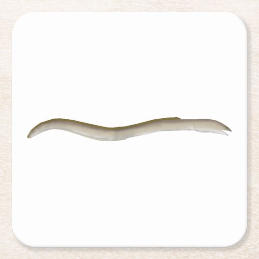Longfin Snake-ael Rechteckiger Pappuntersetzer (Vorderseite)