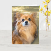 Longhair Chihuahua Card Karte (Gelbe Blume)