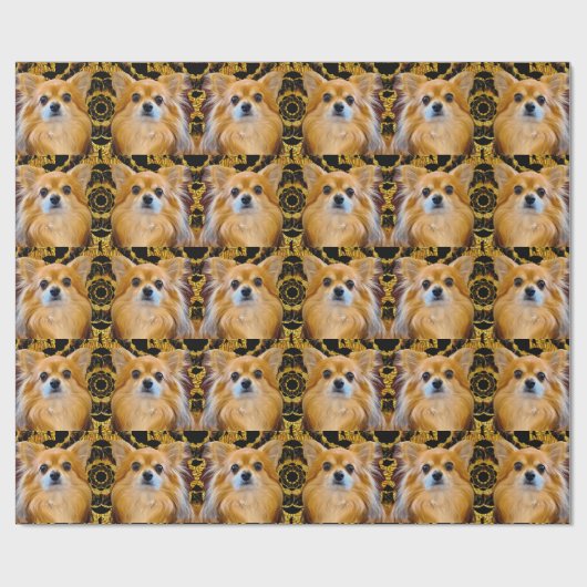 Longhair Chihuahua pom-chi Spitz Geschenkpapier (Flach)