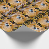 Longhair Chihuahua pom-chi Spitz Geschenkpapier (Ecke)