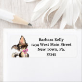 Longhair Chihuahua-Rücksendeadresse (Insitu)