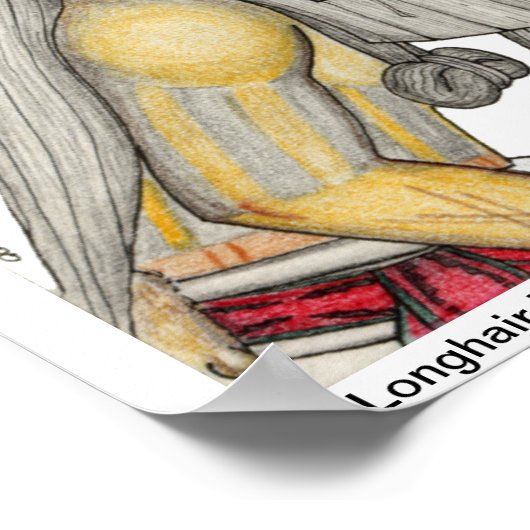 Longhair Katsinas Poster (Ecke)