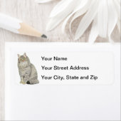 Longhair Tabby Cat (Insitu)