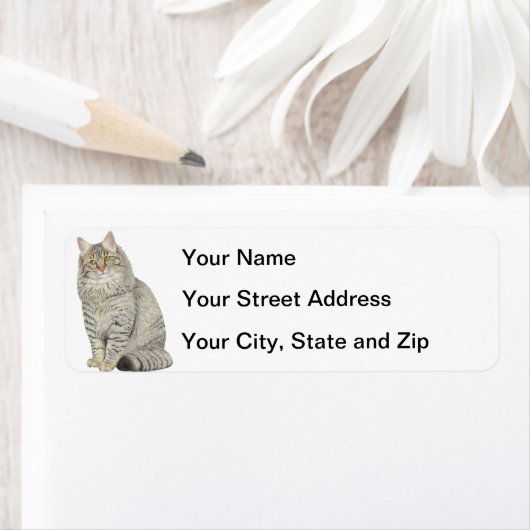 Longhair Tabby Cat (Insitu)