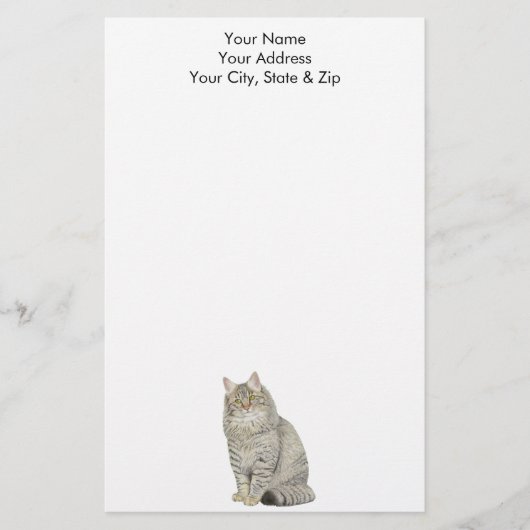 Longhair Tabby Cat Briefpapier (Vorderseite)