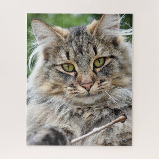 Longhair Tabby Cat Jigsaw Puzzle (Vertikal)