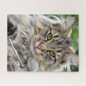 Longhair Tabby Cat Jigsaw Puzzle (Horizontal)