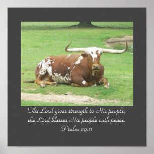 Longhorn 11"x11" Poster