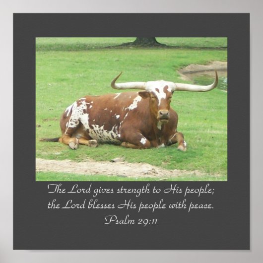 Longhorn 11"x11" Poster (Vorne)