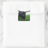 Longhorn Bull Sticker (Tasche)