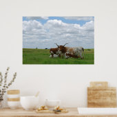 Longhorn Cattle in Kansas Poster (Küche)