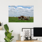 Longhorn Cattle in Kansas Poster (Heimbüro)