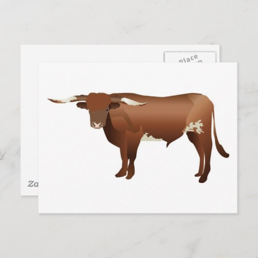 Longhorn Cattle Postkarte (Vorne/Hinten)