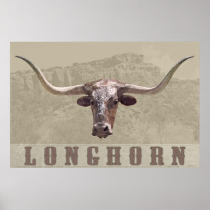 Longhorn Country Poster -60x40 - andere Größen