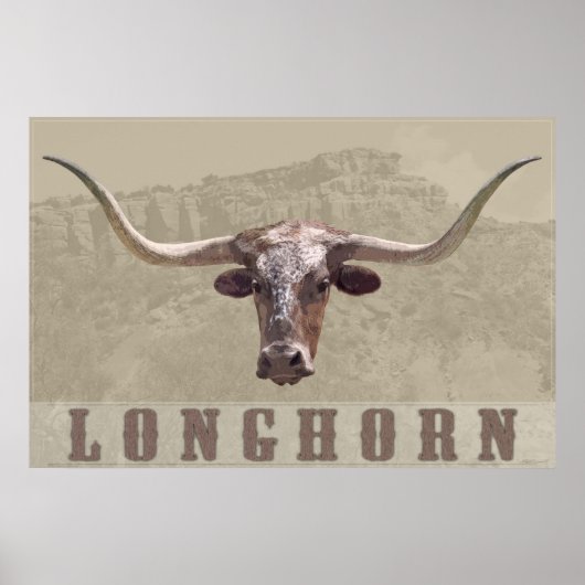 Longhorn Country Poster -60x40 - andere Größen (Vorne)