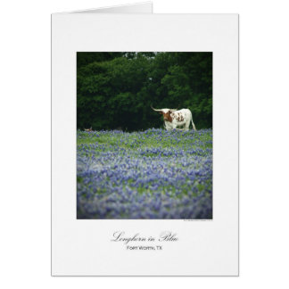 Longhorn in blau