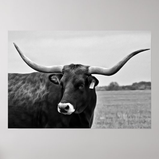 Longhorn Kuh Fotografie Print Poster (Vorne)